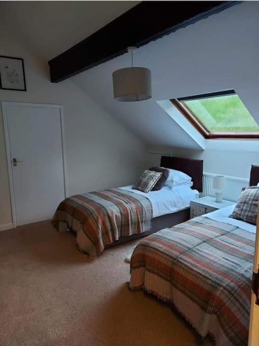 Riverside Retreat Llandysul Eksteriør billede